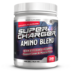 AMİNO BLEND (Shaker Hediye)