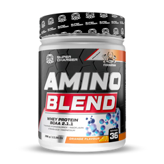 AMİNO BLEND (Shaker Hediye)